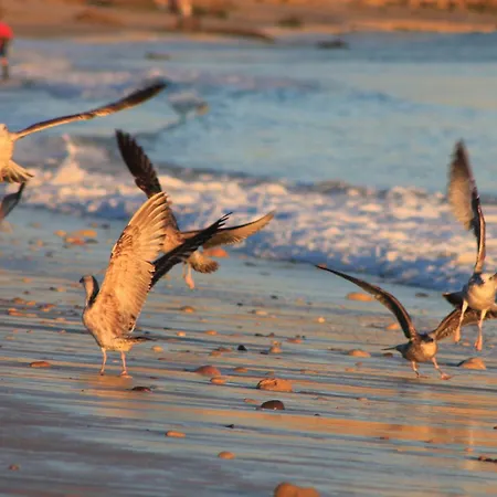 Casa Mar Vendégház 4*